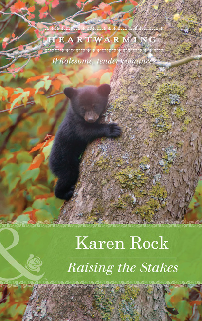 Karen Rock - Raising the Stakes