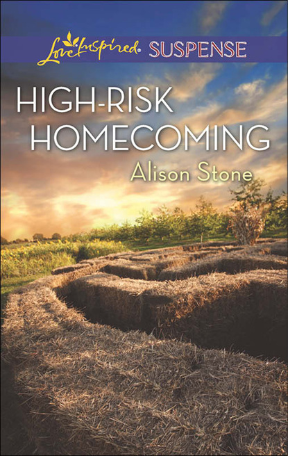 Alison  Stone - High-Risk Homecoming