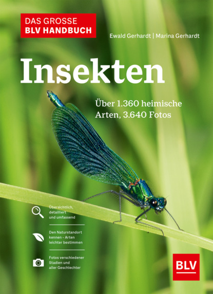 

Das große BLV Handbuch Insekten
