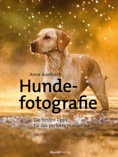 Anna Auerbach - Hundefotografie