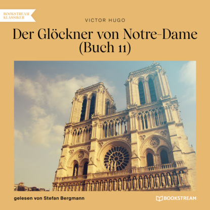 Victor Hugo - Der Glöckner von Notre-Dame, Buch 11 (Ungekürzt)