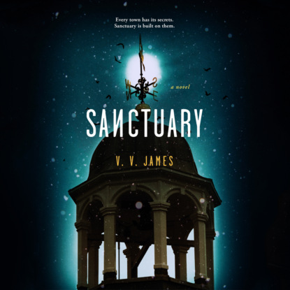 Sanctuary (Unabridged) - V.V. James