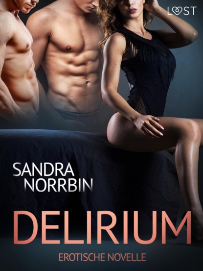 Sandra Norrbin - Delirium: Erotische Novelle