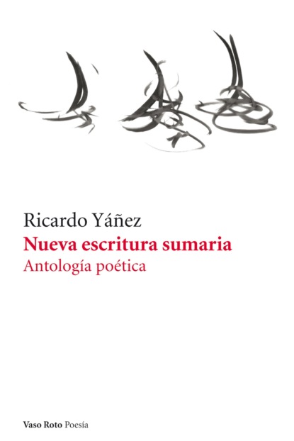 Ricardo Yáñez - Nueva escritura sumaria
