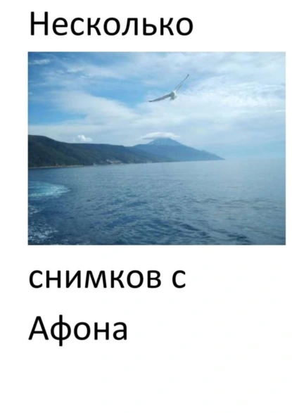 Обложка книги Несколько снимков с Афона. Паломническая поездка, Евгений Александрович Кузнецов