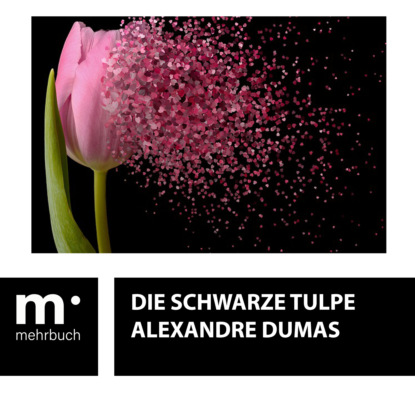 Alexandre Dumas - Die schwarze Tulpe