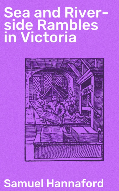 Samuel Hannaford - Sea and River-side Rambles in Victoria