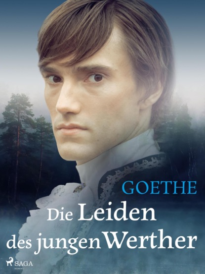 Die Leiden des jungen Werther (Johann Wolfgang von Goethe). 