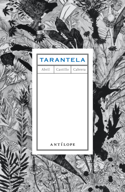 

Tarantela