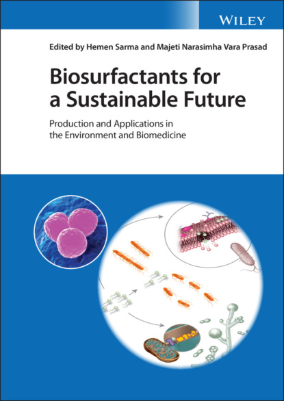 Группа авторов - Biosurfactants for a Sustainable Future