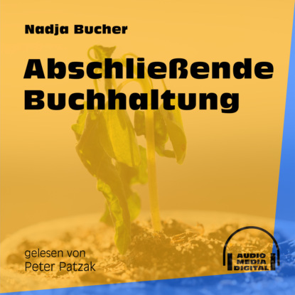 Abschließende Buchhaltung (Ungekürzt)