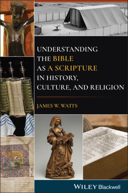 Understanding the Bible as a Scripture in History, Culture, and Religion - James W. Watts