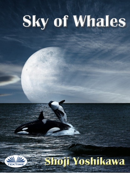 Shoji Yoshikawa - Sky Of Whales