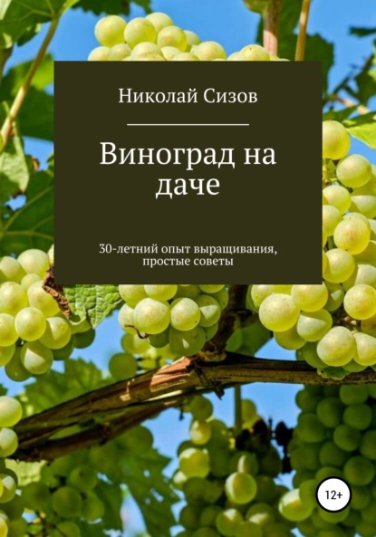Как вырастить виноград на даче в Средней полосе России - Николай Витальевич Сизов