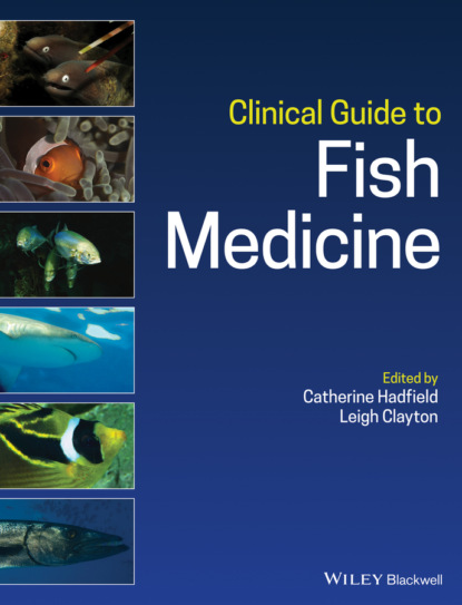 Группа авторов - Clinical Guide to Fish Medicine