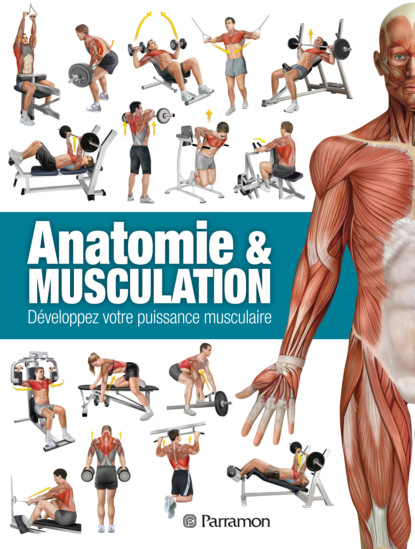 Ricardo Cánovas Linares - Anatomie & Musculation