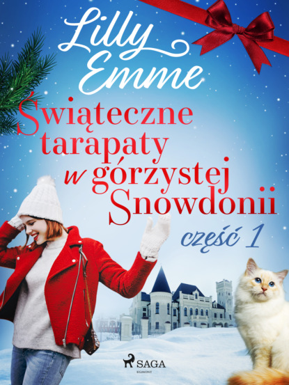 

Świąteczne tarapaty w górzystej Snowdonii. Część 1