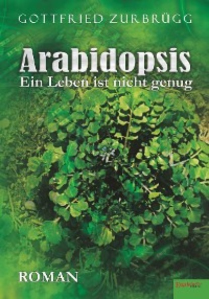 Gottfried Zurbrügg - Arabidopsis – ein Leben ist nicht genug