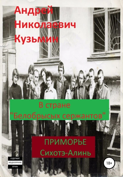 Обложка книги В стране «белобрысых сержантов», Андрей Николаевич Кузьмин