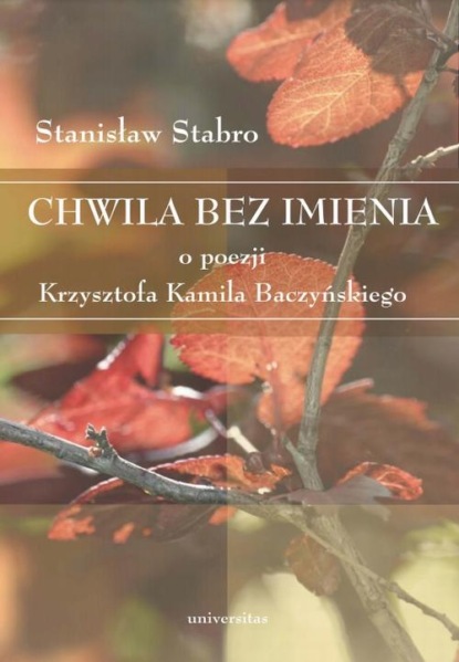 

Chwila bez imienia. O poezji Krzysztofa Kamila Baczyńskiego