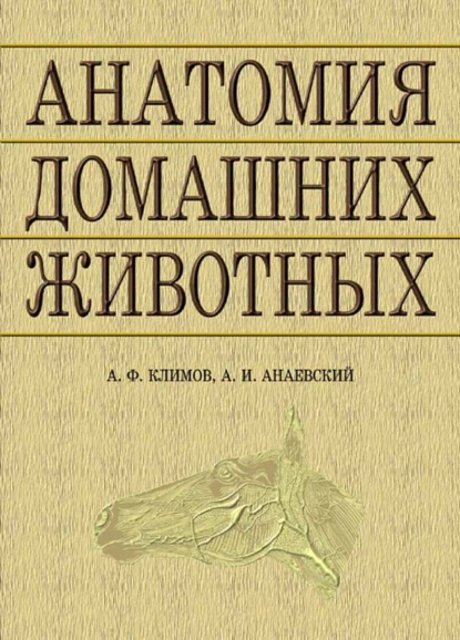 Обложка книги Анатомия домашних животных, А. И. Акаевский