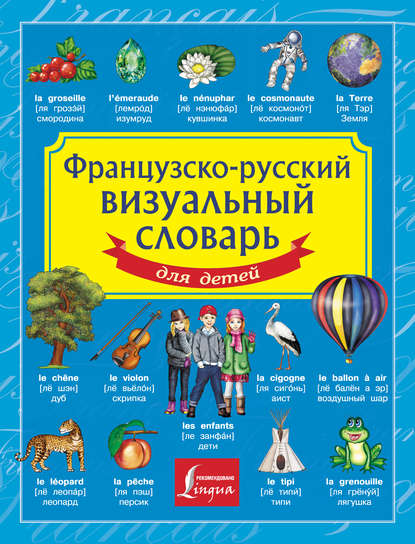 Группа авторов - Французско-русский визуальный словарь для детей