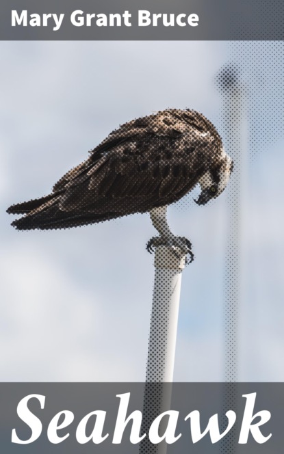 

Seahawk