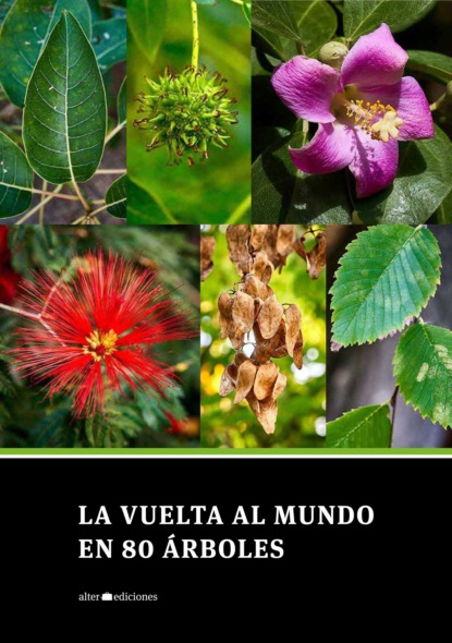 

La vuelta al mundo en 80 árboles