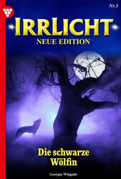 

Irrlicht - Neue Edition 3 – Mystikroman