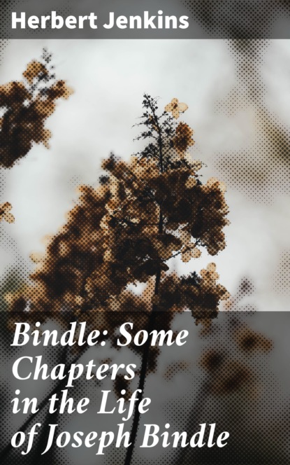 

Bindle: Some Chapters in the Life of Joseph Bindle