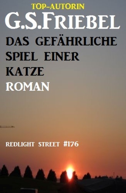 

Das gefährliche Spiel einer Katze: Redlight Street #176