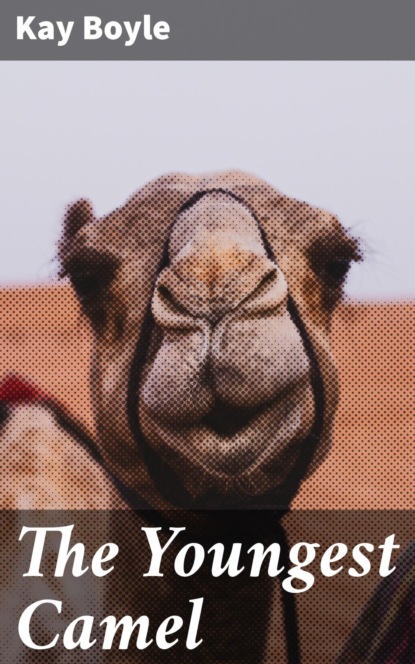 

The Youngest Camel