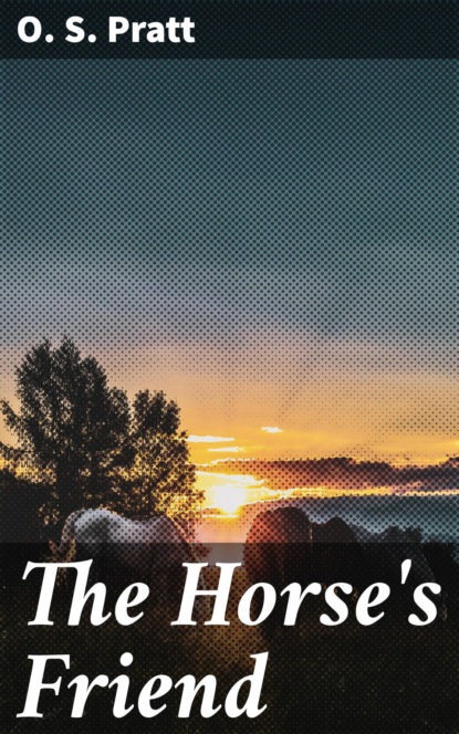 

The Horse's Friend