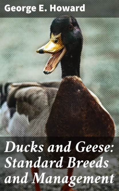 

Ducks and Geese: Standard Breeds and Management