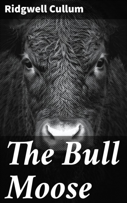 

The Bull Moose
