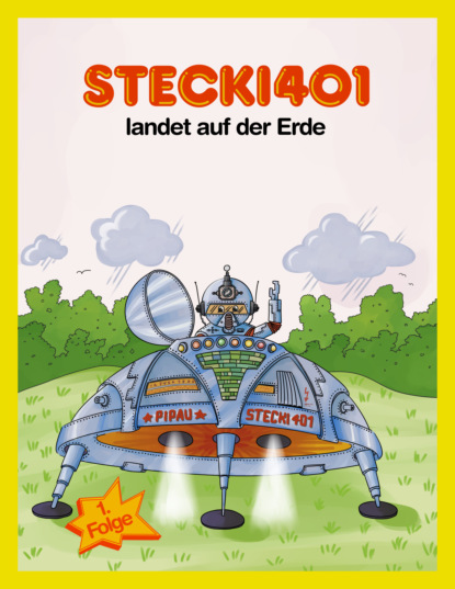 Stecki401 landet auf der Erde