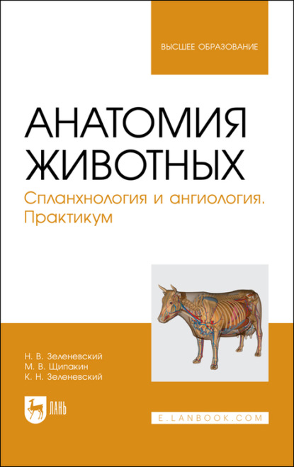 Анатомия животных. Спланхнология и ангиология. Практикум. Учебное пособие для вузов (Н. В. Зеленевский). 2022г. 