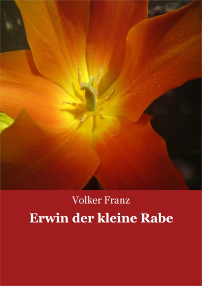 Erwin der kleine Rabe