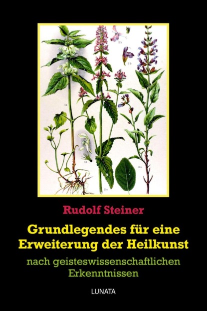 Grundlegendes zur Erweiterung der Heilkunst (Rudolf Steiner). 