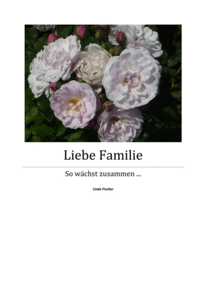 Liebe Familie - Teil 1 (Linda Fischer). 