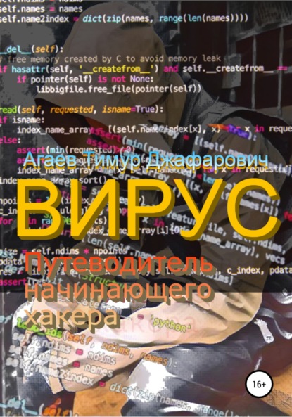 Вирус: Путеводитель начинающего хакера — Тимур Джафарович Агаев