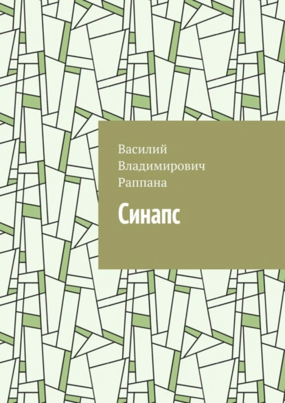 Обложка книги Синапс, Василий Владимирович Раппана