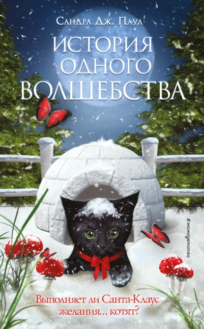 Обложка книги История одного волшебства, Сандра Дж. Паул