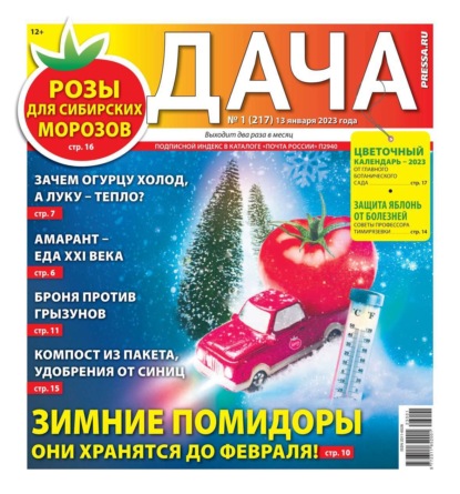 Дача Pressa.ru 01-2023