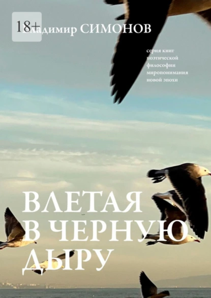 Обложка книги Влетая в Черную дыру. Серия книг поэтической философии миропонимания новой эпохи, Владимир Симонов