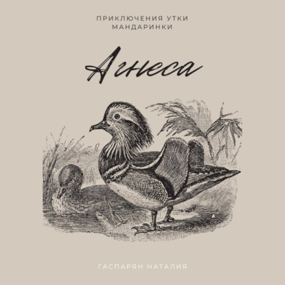 Аудиокнига Агнеса ISBN 