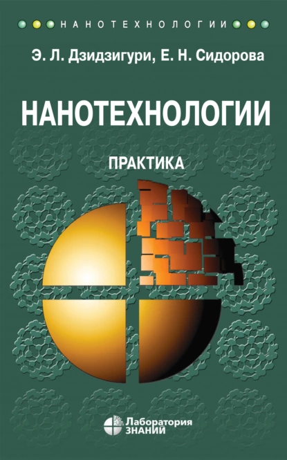 Обложка книги Нанотехнологии. Практика, Э. Л. Дзидзигури