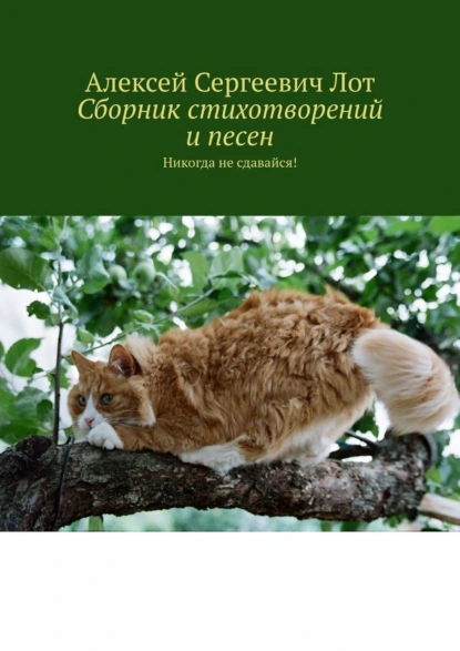 Обложка книги Сборник стихотворений и песен. Никогда не сдавайся!, Алексей Сергеевич Лот