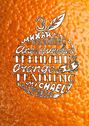 Апельсиновый трениг – 18. Orange training – 18. Книга третья. Творчество заразительно! Тренинг креативности