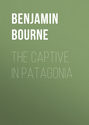 The Captive in Patagonia